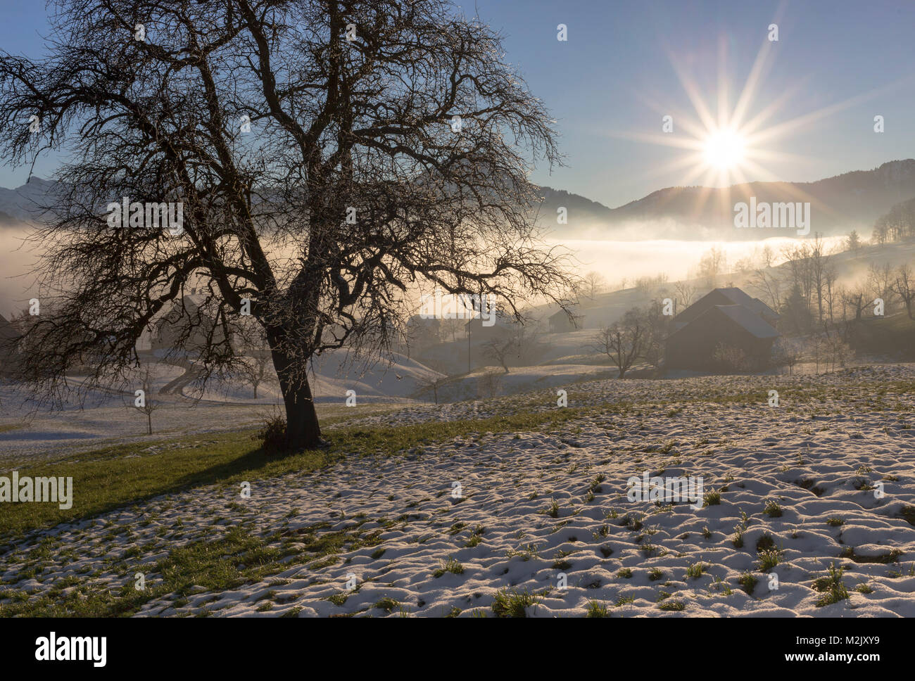 Winter misty Landschaft in der Schweiz Stockfoto