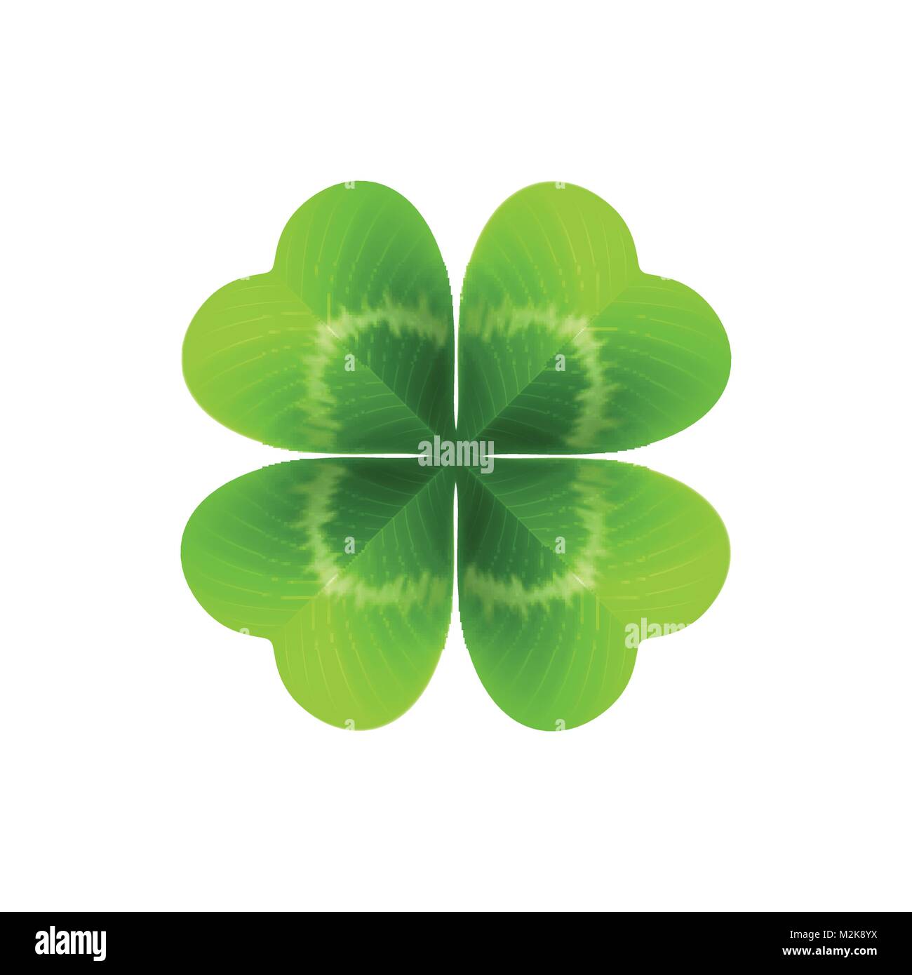 Four Leaf Clover auf Weiß isoliert. Vector Illustration Stock Vektor