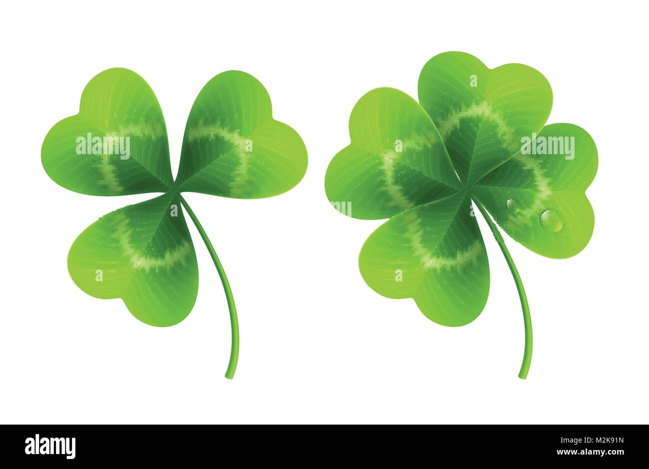 Four Leaf Clover auf Weiß isoliert. Vector Illustration Stock Vektor
