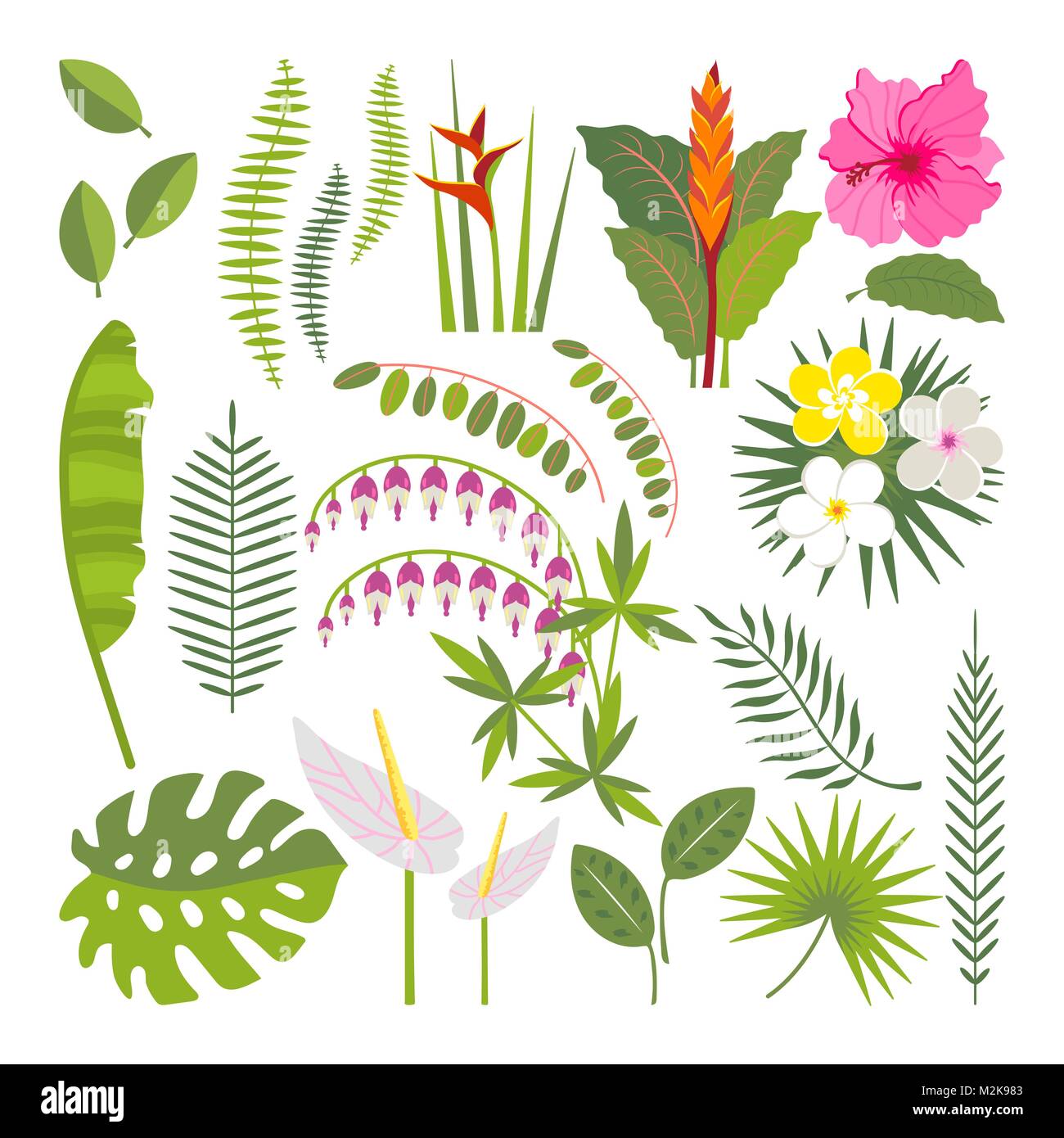 Aquarell Clipart Urwald Fotos Und Bildmaterial In Hoher Aufl sung Alamy aquarell-clipart-urwald-fotos-und-bildmaterial-in-hoher-aufl-sung-alamy