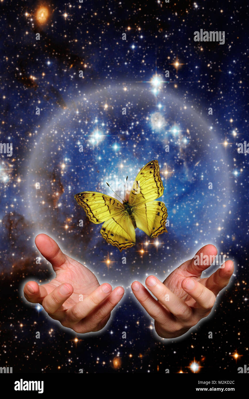 Männlich offene Hände in einer Geste der Anerkennung und ein Schmetterling in eine Sphäre gefangen fliegen Stockfoto