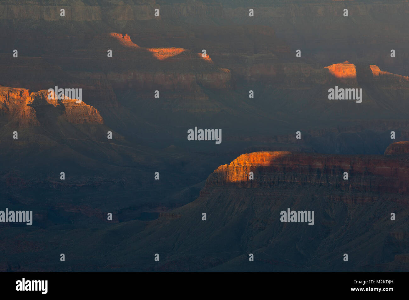 Sunrise entlang dem North Rim des Grand Canyon Grand Canyon National Park, Arizona. USA Stockfoto