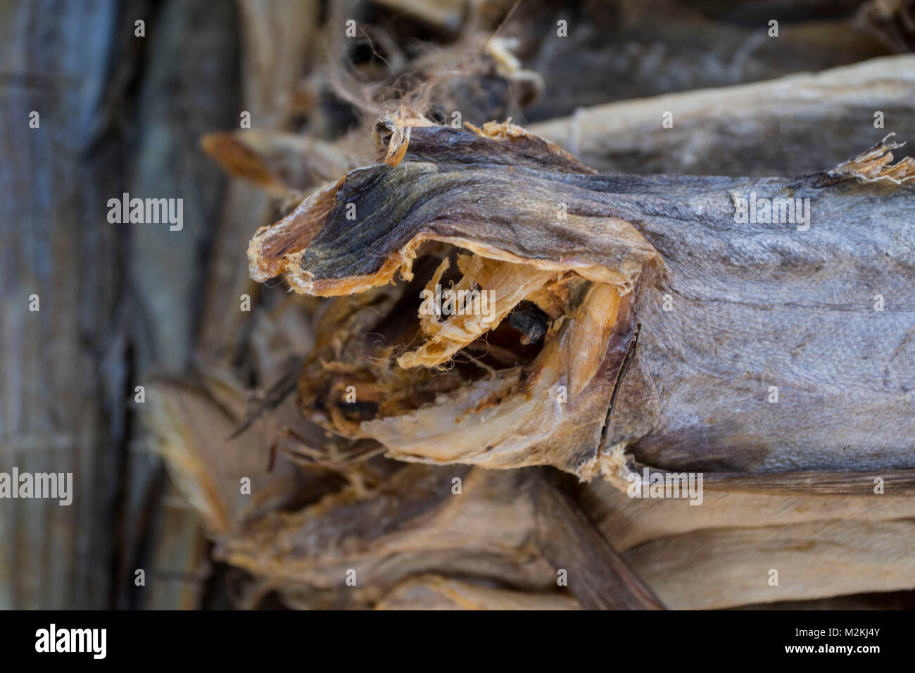 An Meeresfischen food Still life Foto Stockfoto