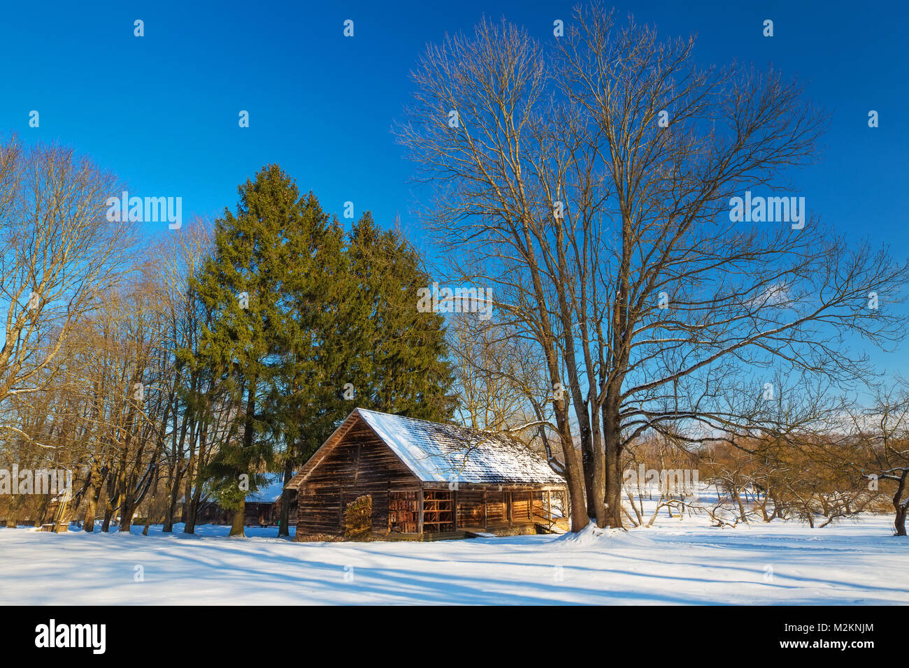 Alten Holzhaus an einem sonnigen Tag im Winter. Klassische native russischen Landschaft. Stockfoto