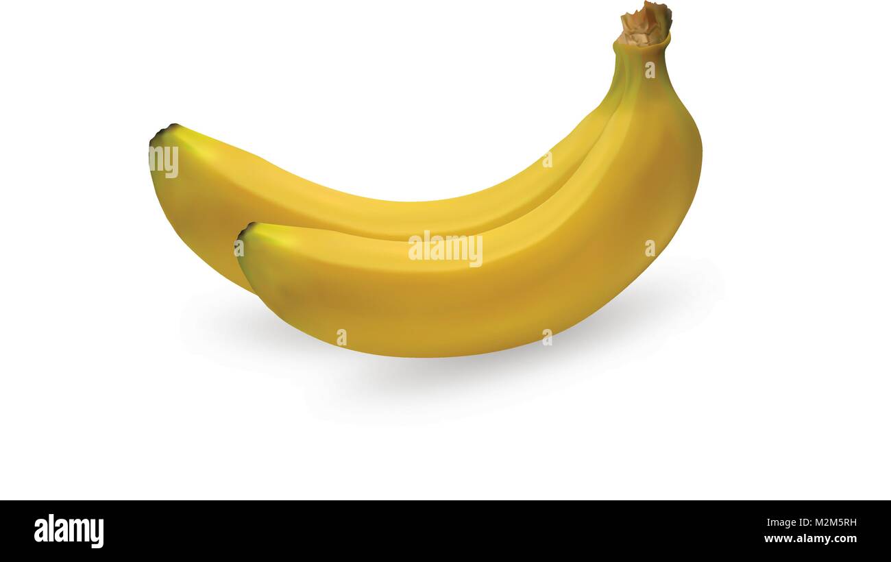3D-Illustration Bananen auf weißem Hintergrund, reife saftige Frucht Stock Vektor
