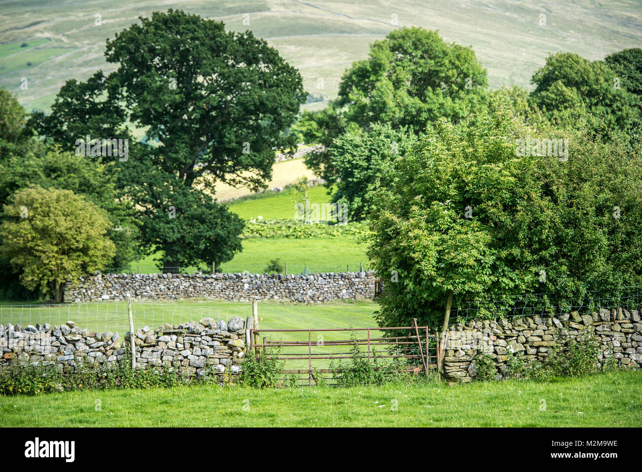 Gate Eingang sitzt im Vordergrund in den Hügeln der Dales, Yorkshire Dales, Großbritannien Stockfoto