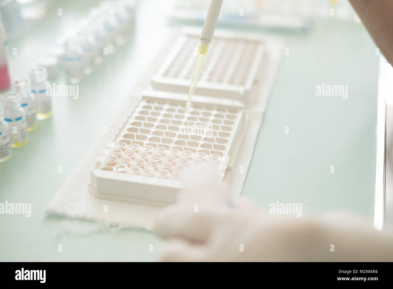 Forscher forschen in einem Labor. Wissenschaftler tun, chemischen Test im Labor. Arzt, medizinische Analyse. Nahaufnahme Stockfoto