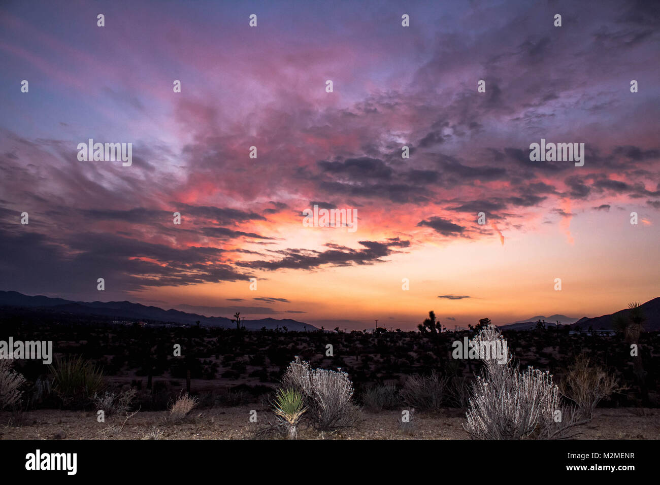 Sonnenuntergang in Yucca Valley Joshua Tree, Kalifornien Stockfoto