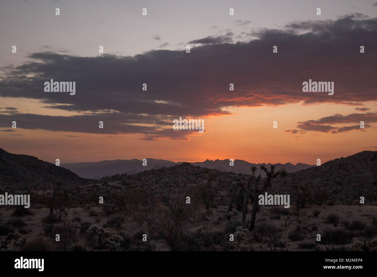 Sonnenuntergang in Yucca Valley Joshua Tree, Kalifornien Stockfoto