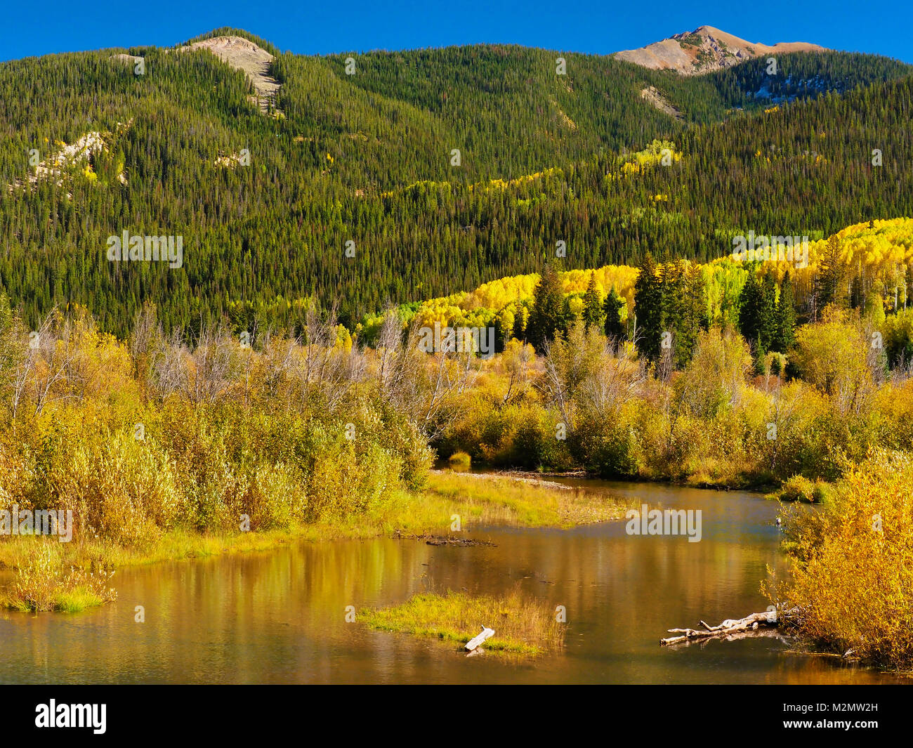 Rubin Anthrazit Creek, Kebler, Crested Butte, Colorado, USA Stockfoto