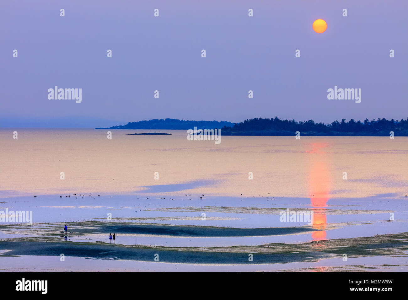 Familie am Strand bei Sonnenaufgang Stockfoto