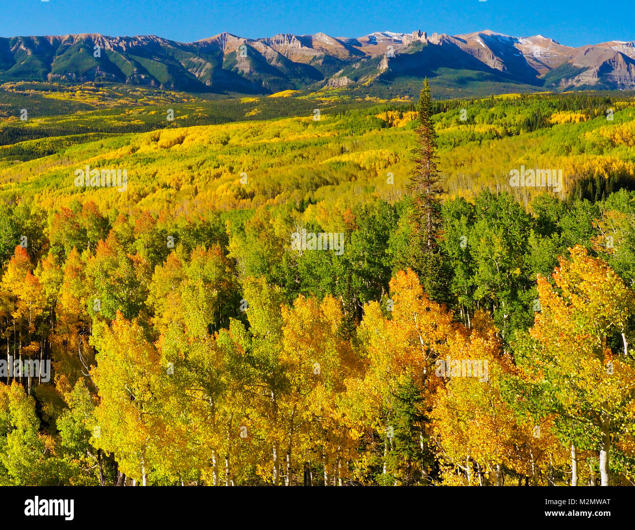 Die Schlösser, gesehen von der Ohio Creek, Gunnison, Colorado, USA Stockfoto