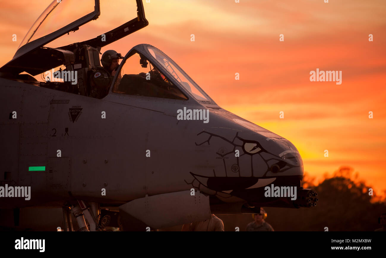 Eine A-10 C "Warzenschwein" Pilot aus Die 163 Fighter Squadron, und Flugzeugwartung Mannschaft Leiter aus der 122 Fighter Wing, Fort Wayne, Ind., für den Start vorzubereiten während des Betriebs Guardian Blitz, Jan 23, 2018, an der MacDill Air Force Base, Fla. Betrieb Guardian Blitz Ausbildungsmöglichkeiten zur Verfügung unsere Kernkompetenzen der engen Unterstützung aus der Luft zu üben, Vorwärts, einzudämmen und zu bekämpfen, Suche und Rettung in einer gemeinsamen Umwelt. Die Blacksnakes der 122 Fighter Wing und unsere 163 Fighter Squadron ständig trainieren, um sicherzustellen, dass unsere Mitglieder sind immer bereit, die Nation zu verteidigen. (U.S. Air National Guard Stockfoto