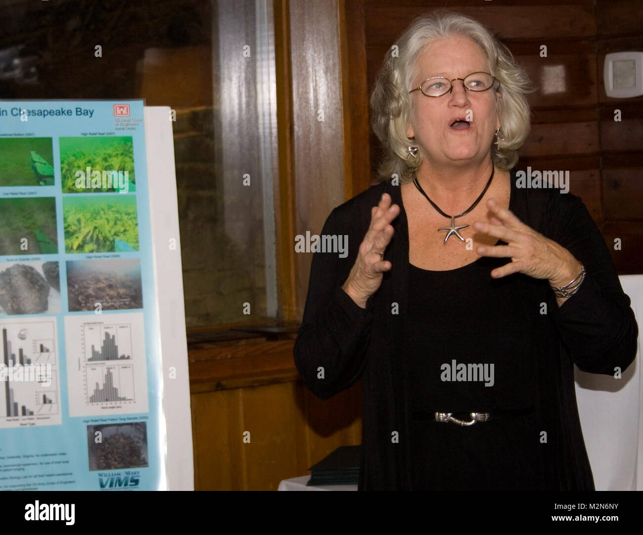 Frau Virginia Tippie, Direktor der Küstengebiete Nordamerika, startet den Jan. 14 Preisverleihung mit einem Überblick über das Programm, bevor Sie mit der Präsentation der U.S. Army Corps Lynnhaven Oyster Restoration Project Team mit dem 2009 Coastal America Partnership Award. Die Auszeichnung würdigt die Errungenschaften der Zusammenarbeit, Innovation und erfolgreiche Bemühungen zur Wiederherstellung der Küstengebiete schützen und, speziell, die Native American Oyster Bevölkerung in den Lynnhaven River. Die Auszeichnung, die nur Umwelt Auszeichnung seiner Art durch das Weiße Haus gegeben. Partner in der laufenden Initiative, die auch re Stockfoto