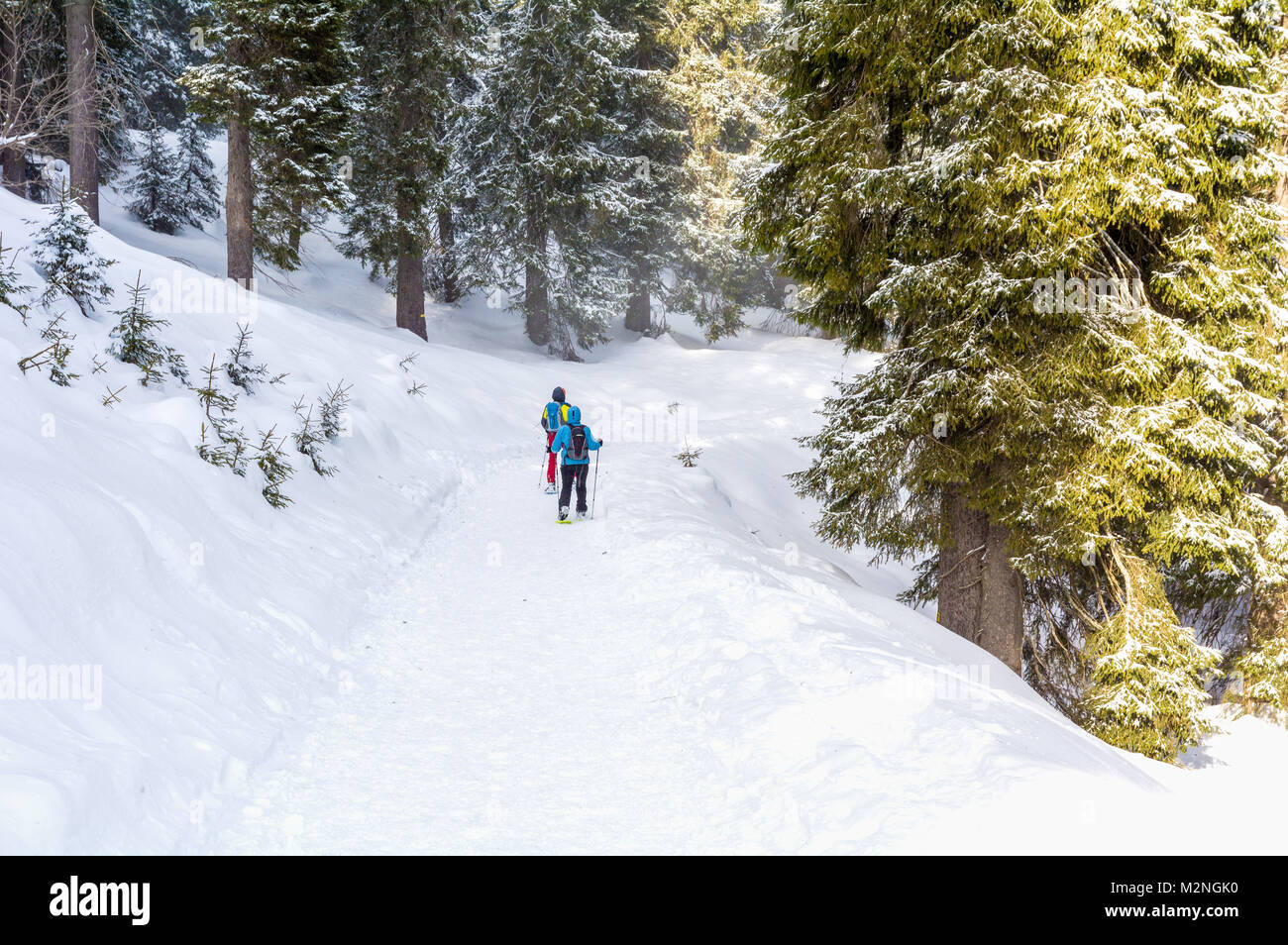 Die Leute im Winter Skifahren Natur wandern durch verschneite Landschaft. Schönen Winter Berge Landschaft mit frischem Schnee Stockfoto