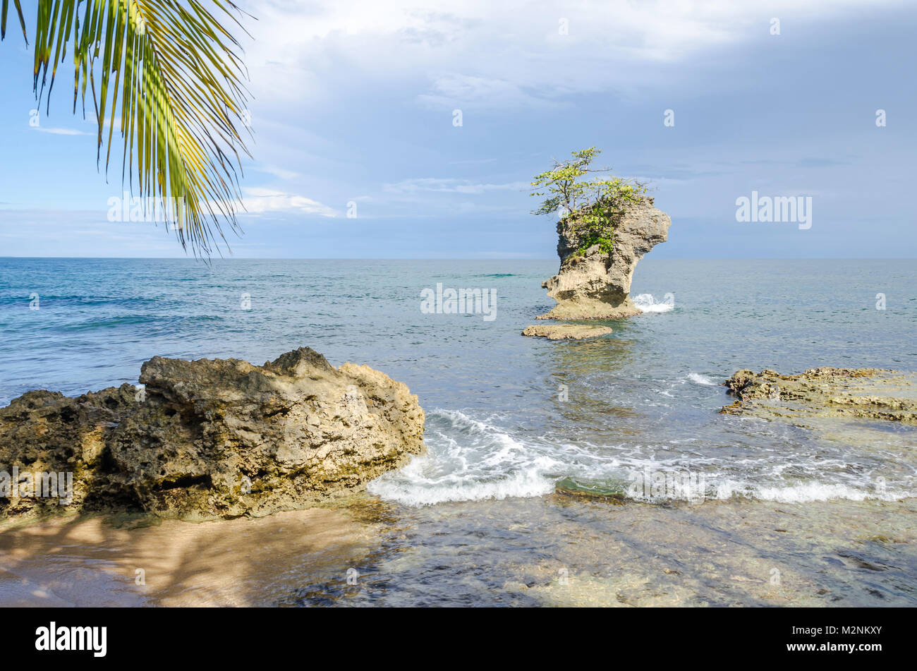 Single rock mit einem Baum im Karibischen Meer in Gandoca-Manzanillo gemischt National Wildlife Refuge, Costa Rica. Blick vom Ufer über den Palm tr Stockfoto