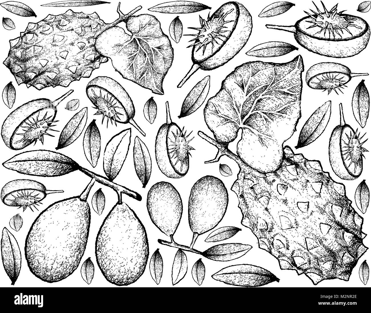 Tropische Früchte, Illustration von Hand gezeichnete Skizze von frischem Mombinpflaumen und Gehörnten Melone oder kiwano Früchte isoliert auf weißem Hintergrund. Stock Vektor