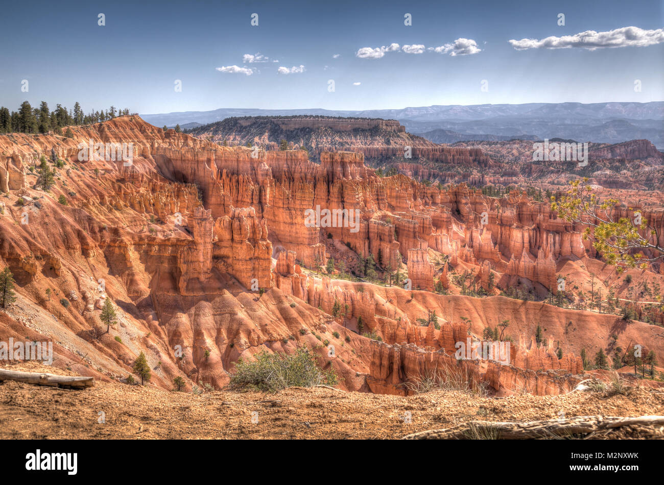 Sunset Point in Bryce National Park Stockfoto