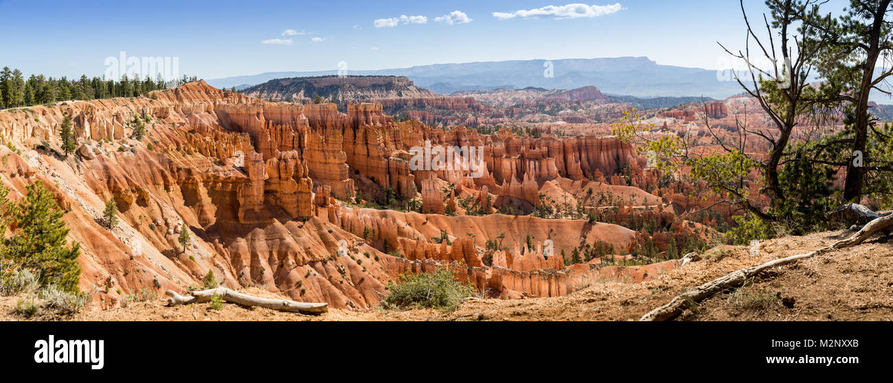 Sunset Point in Bryce National Park Stockfoto