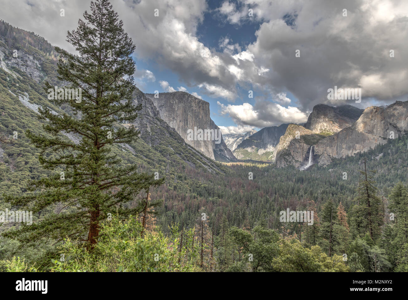 Valley View Site Yosemite Stockfoto