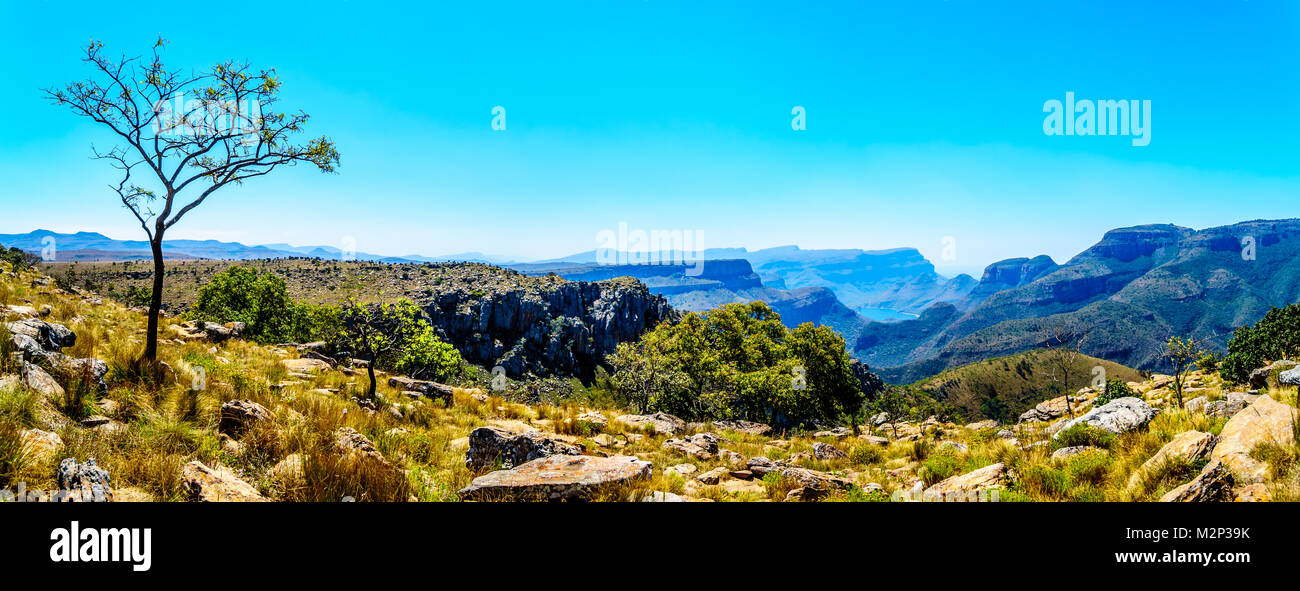 Panorama Blick auf die Berge des Blyde River Canyon Nature Reserve auf der Panorama Route in Mpumalanga Provinz von Südafrika Stockfoto