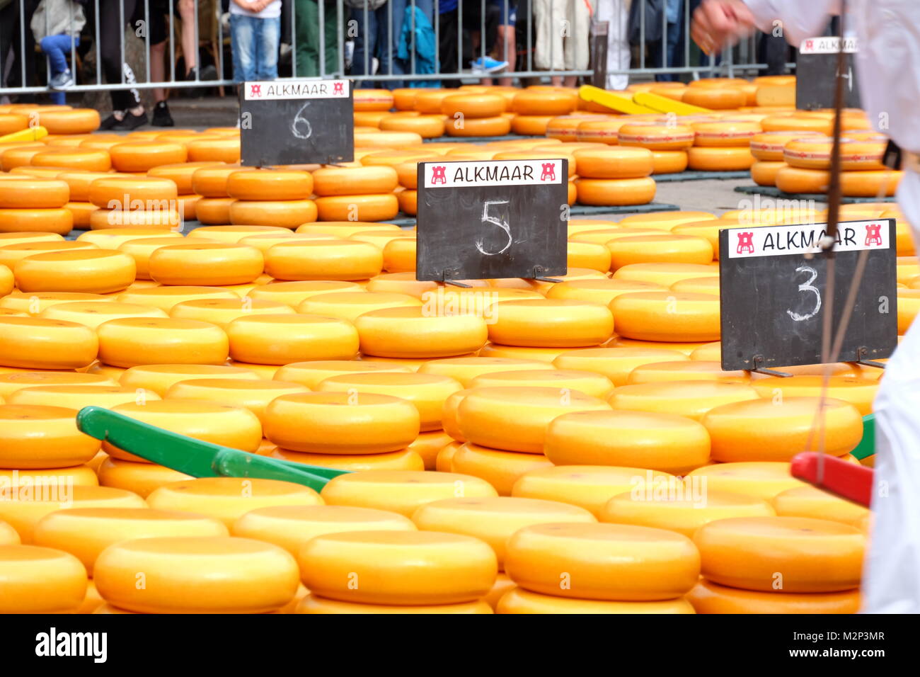 Szenen von Alkmaar, der Heimat des Niederländischen Sommer Käsemarkt Stockfoto