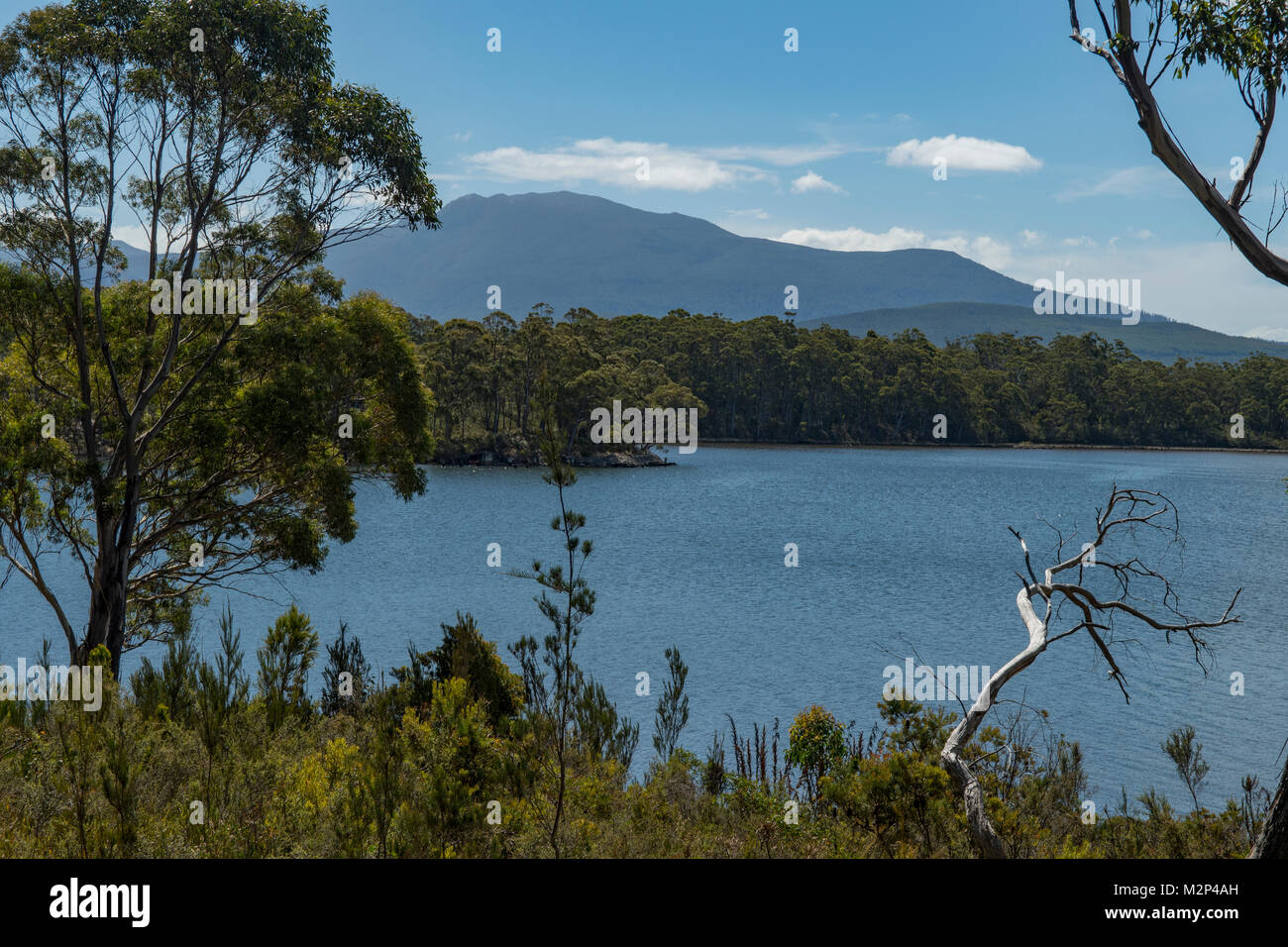 Ida Bay, Tasmanien, Australien Stockfoto
