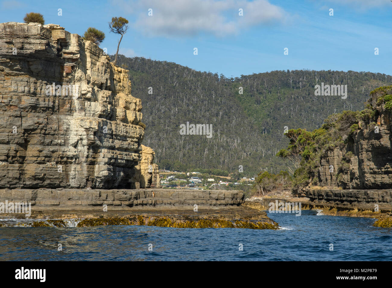 Cliff Erosion am Blowhole, Tasman NP, Tasmanien, Australien Stockfoto