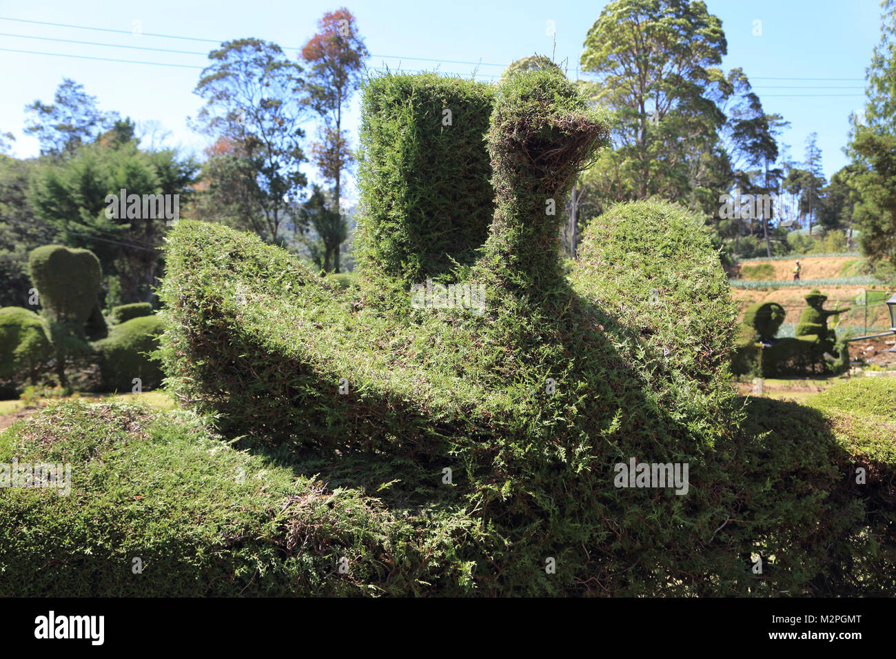 St Andrews Hotel Nuwara Eliya Hill Country zentrale Provinz Sri Lanka formgehölze wie ein Vogel geformt Stockfoto