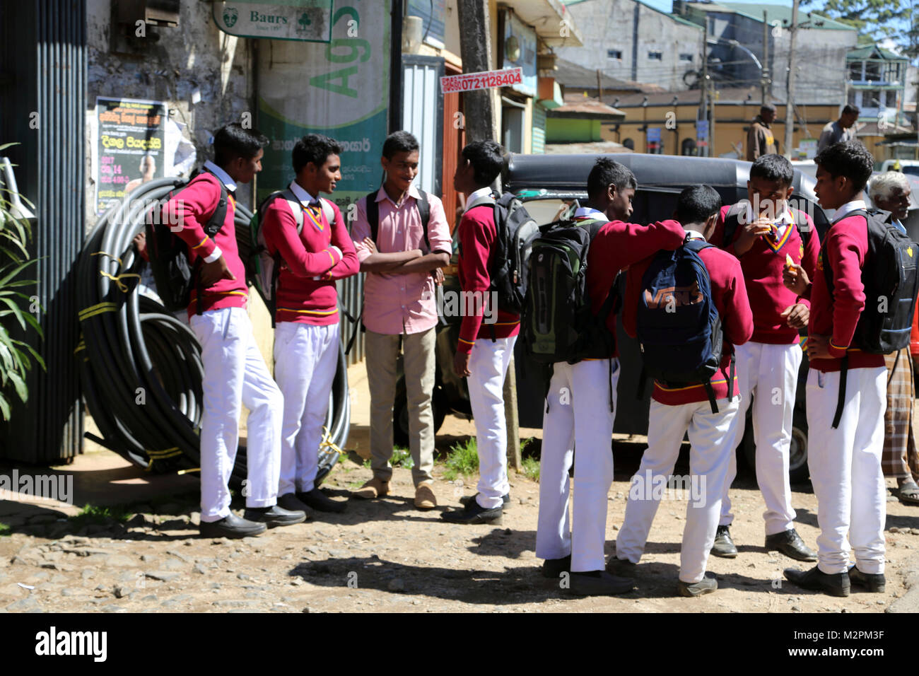 Nuwara Eliya Hill Country zentrale Provinz Sri Lanka Gruppe von Schulkindern Stockfoto