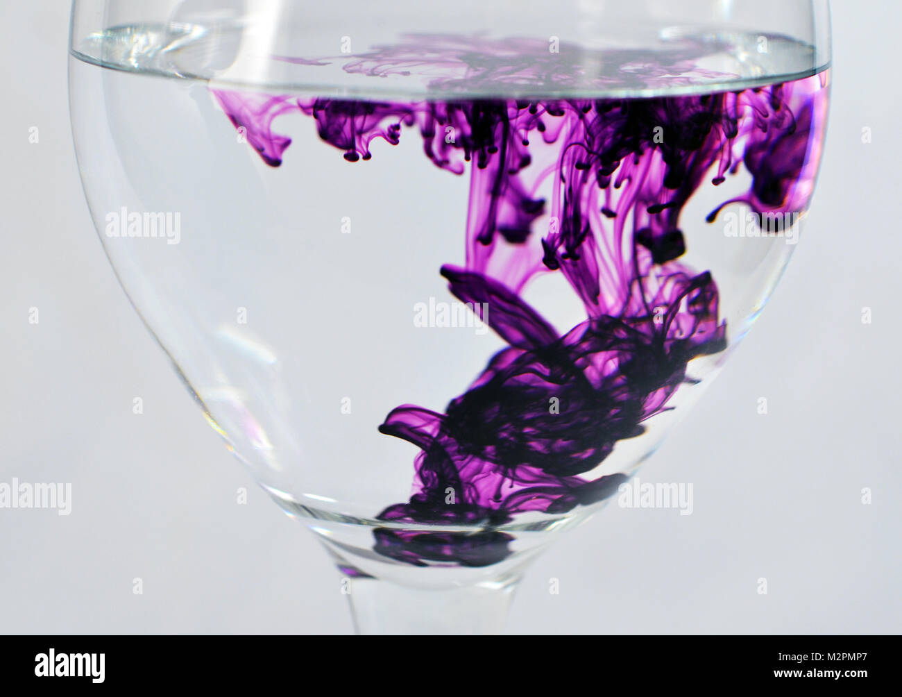 Wein Glas mit Wasser mit Lila Tropfen Farbstoff gefüllt Stockfoto