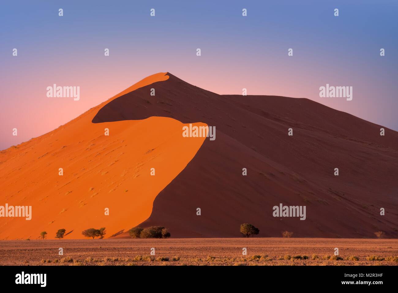 Düne 45 im Sossusvlei, Namibia Stockfoto