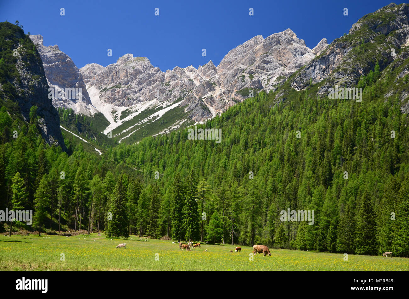 Idylle am Pragser Wildsee/Lake Prags, Pustertal, Dolomiten, Südtirol, Trentino, Italien Stockfoto