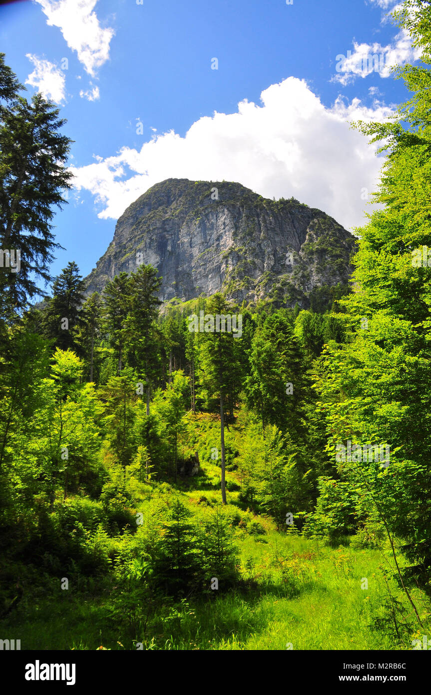 Naturpark Fanes-Sennes-Prags auf der Pragser Wildsee/Lake Prags, Pustertal, Dolomiten, Südtirol, Trentino, Italien Stockfoto