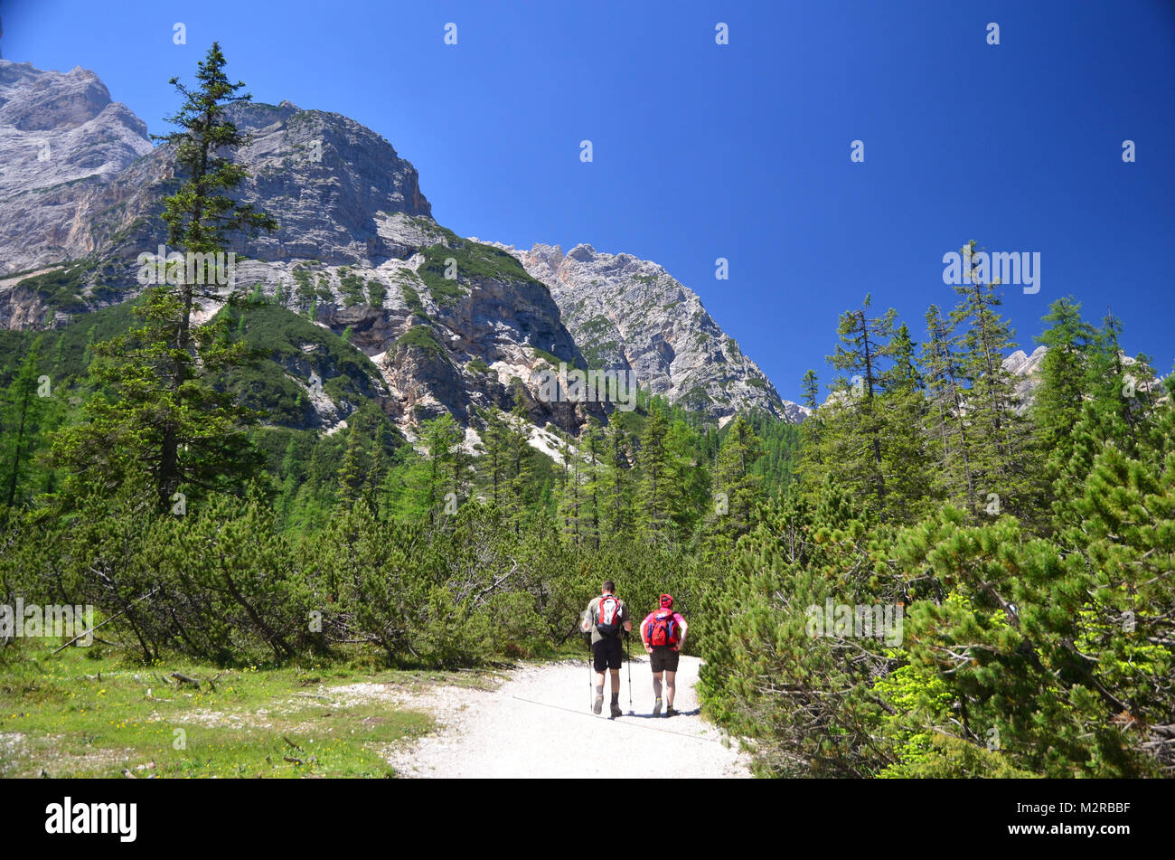 Wanderer auf der Pragser Wildsee/Lake Prags, Pustertal, Dolomiten, Südtirol, Trentino, Italien Stockfoto