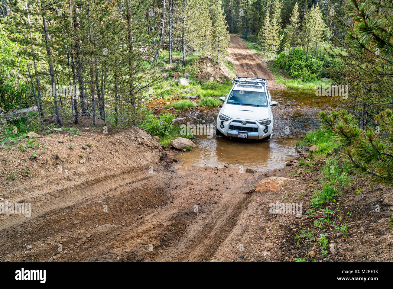 RED FEATHER SEEN, CO, USA - Juni 3, 2016: Toyota 4Runner SUV (2016 Trail edition) Kreuzung ein bergbach (Sand Creek Road) in Colorado Rocky Mo Stockfoto