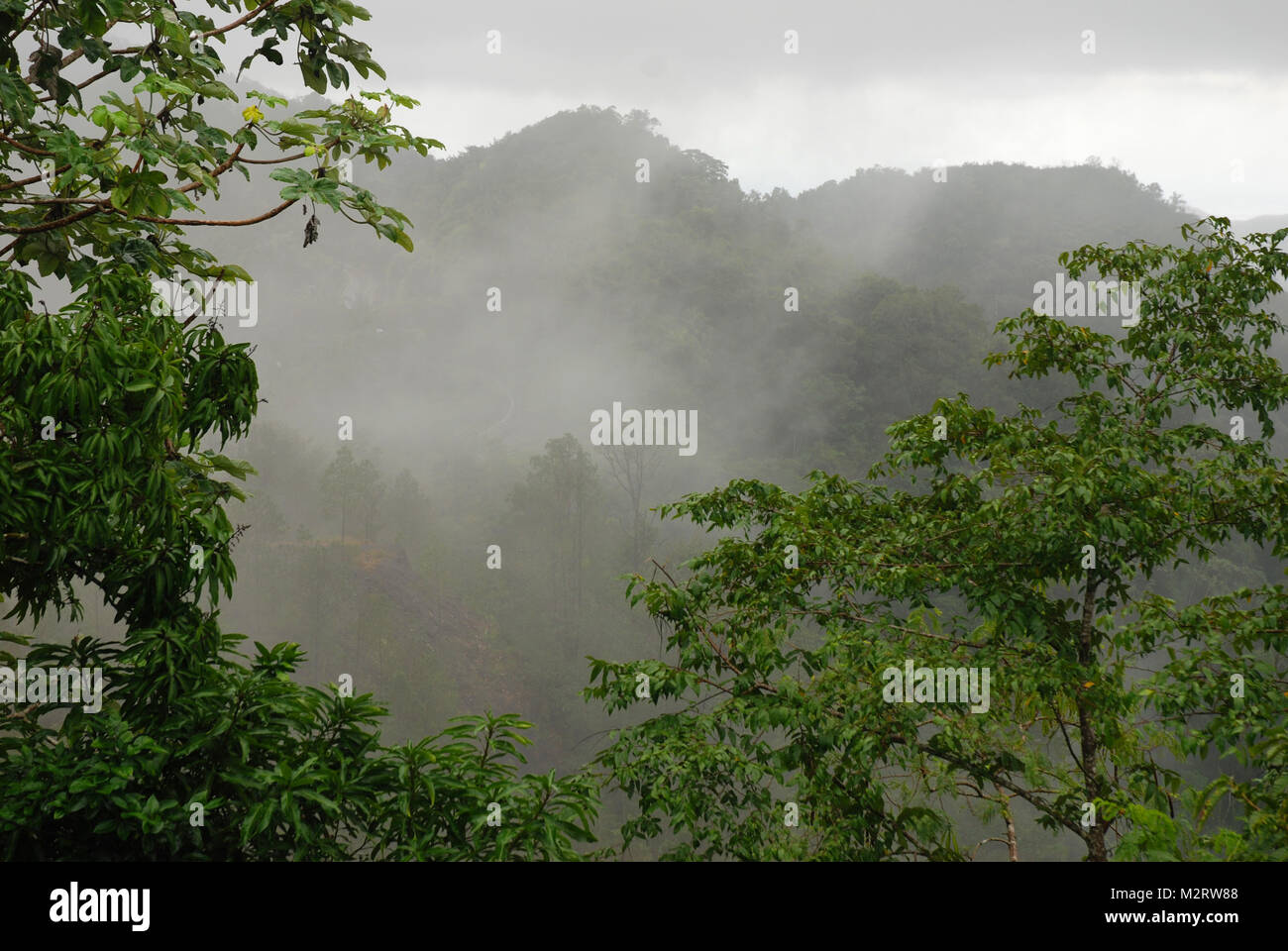 Dunst steigt über Wald von Sierra de Escambray östlichen Teil genannt Sierra de Sancti Spiritus, Kuba Stockfoto