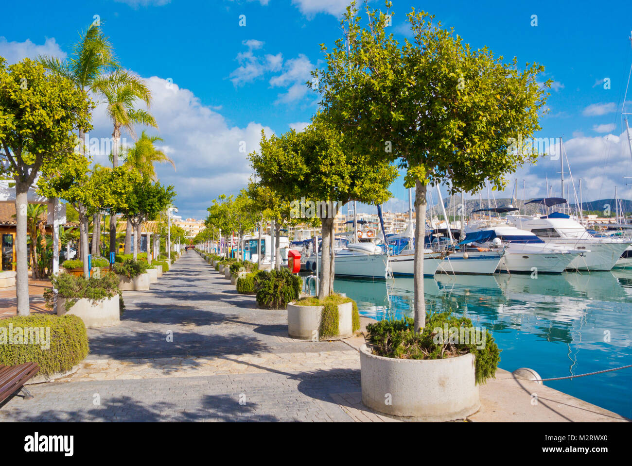 Passeig Maritim Paseo Maritimo Alcudiamar Port D Alcudia Mallorca Balearen Spanien Stockfotografie Alamy