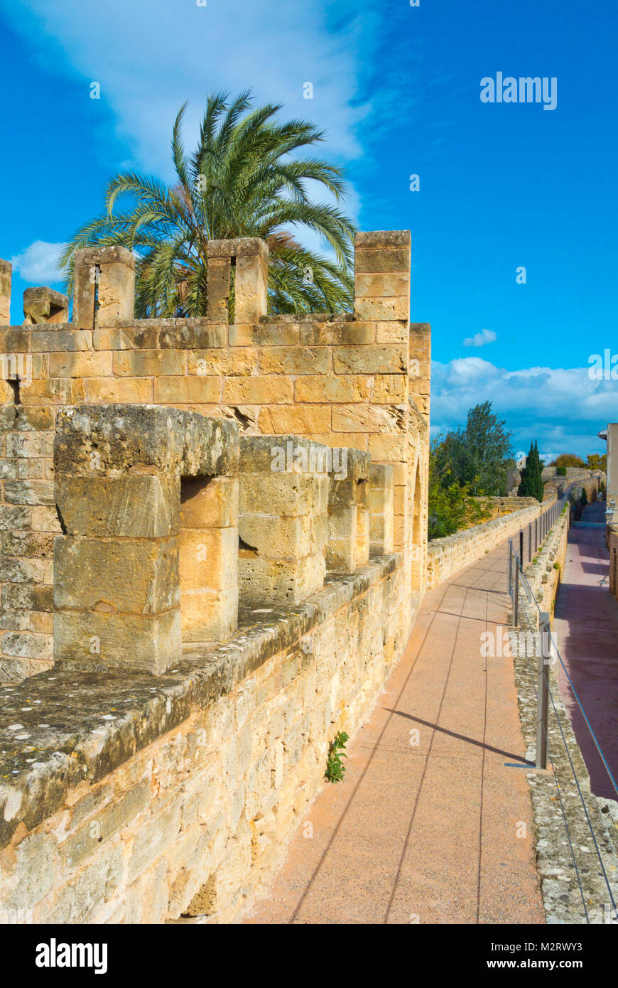 Gehweg auf der mittelalterlichen Stadtmauer, Alcudia, Mallorca, Balearen, Spanien Stockfoto