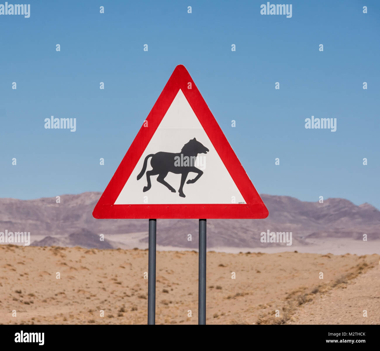 Schild am Straßenrand Warnung der Natur - in diesem Fall die wilden Pferde der Namibischen Wüste in der Nähe von Aus und Lüderitz Stockfoto