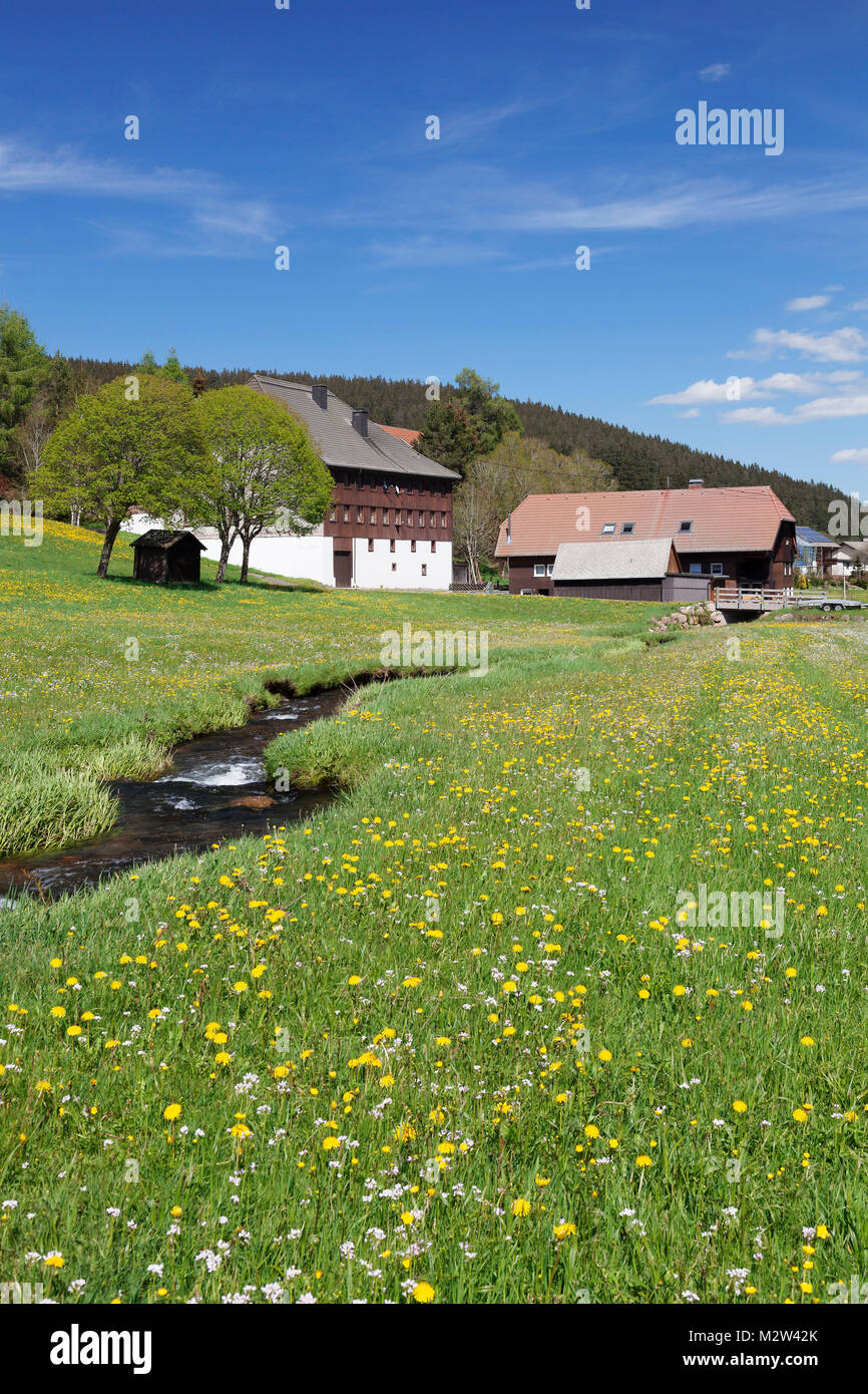 Schwarzwald Häuser in Urach, Urachtal, Schwarzwald, Baden-Württemberg, Deutschland Stockfoto