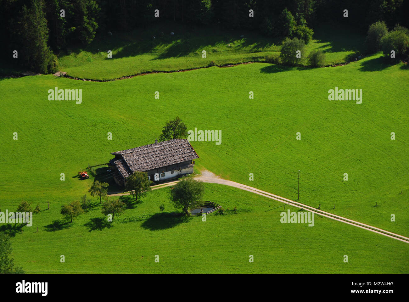 Haus in der Natur mit grünen Gras und Wald Stockfoto