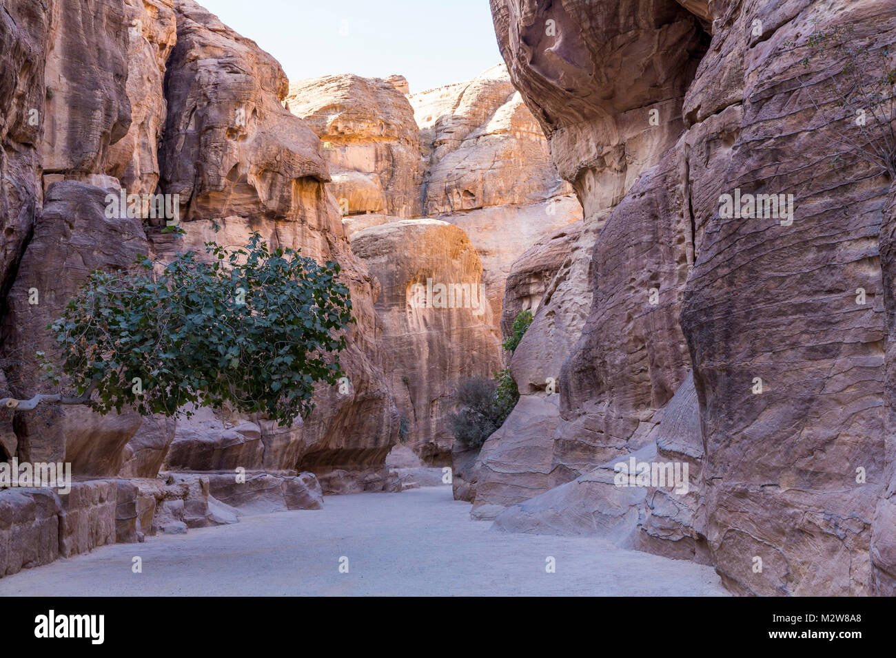 In Rock Water tv und sektiererischen Nischen gegossen, der Siq, Schlucht, 1200 m, Petra, Hauptstadt der Nabatäer, UNESCO-Weltkulturerbe, Jordanien, Asien Stockfoto