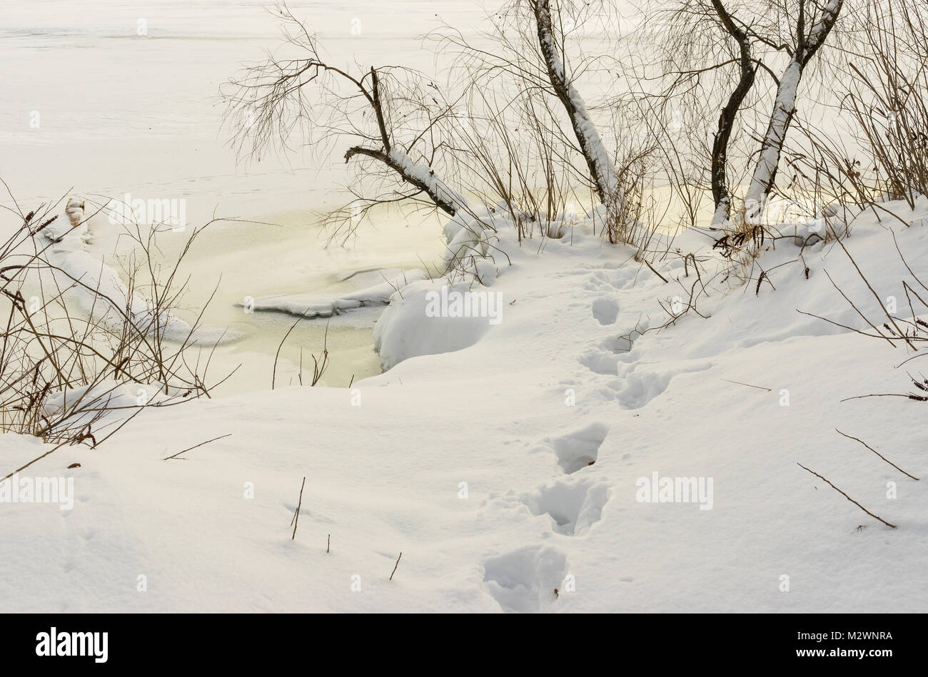 Winterlandschaft mit Fußabdruck in tiefem Schnee auf einem Dnipro Riverside am Abend Zeit Stockfoto