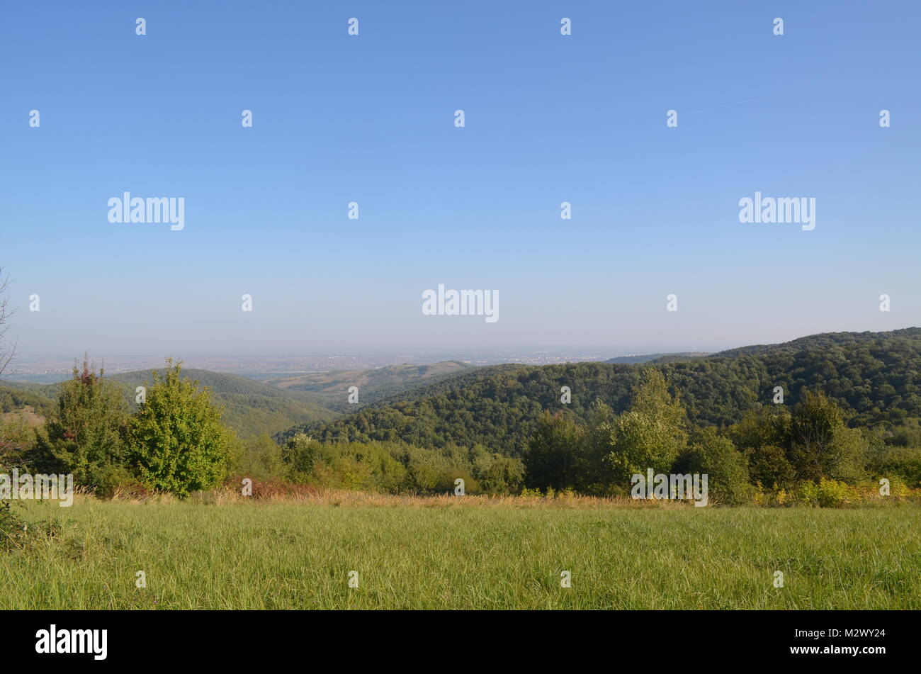 Fruska Gora (Serbien). Wahre Wunder der Natur. Bergmassiv auf der Ebene. Stockfoto