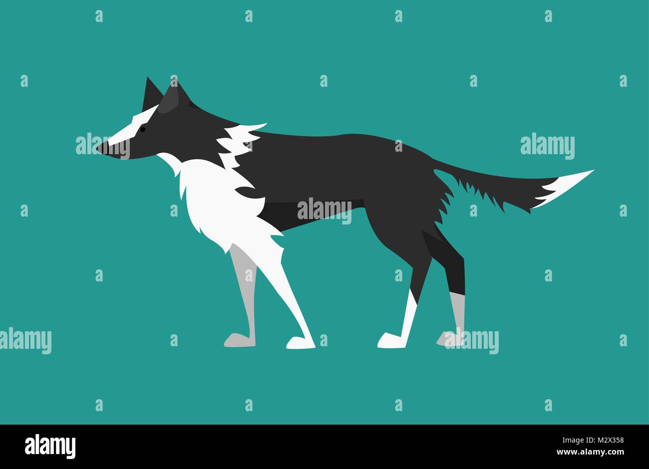 Vector Illustration: Hund - Schwarze und Weiße Border Collie. Flache Bauform. Stock Vektor