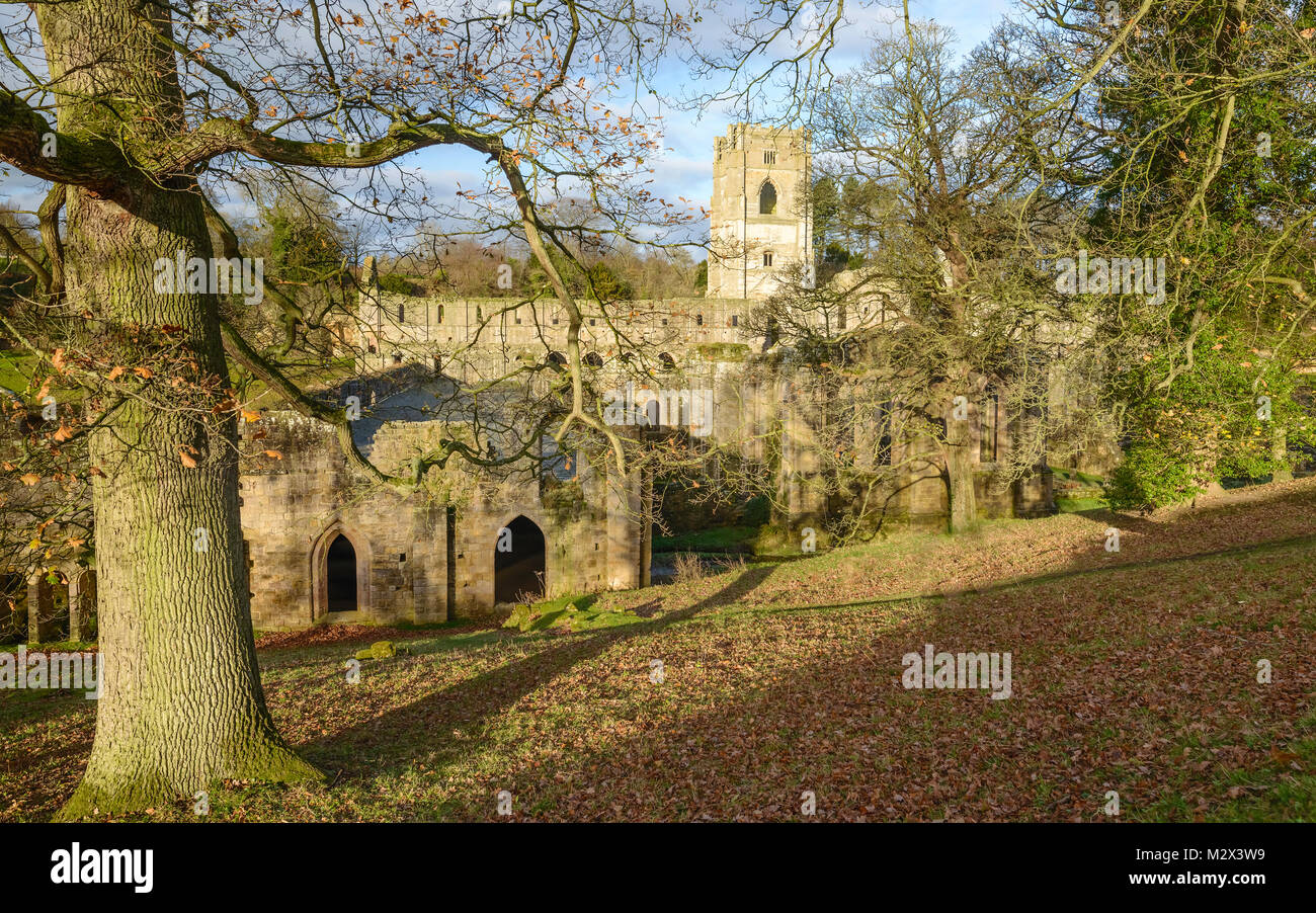 Die Ruinen von Fountains Abbey an einem schönen Herbstmorgen ab über den Fluss Skell in der Nähe von Bedale, Yorkshire, UK gesehen. Stockfoto