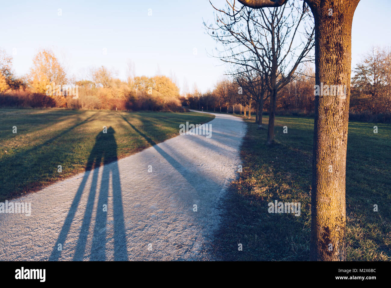 Schatten Silhouette auf Gras - Park. Stockfoto