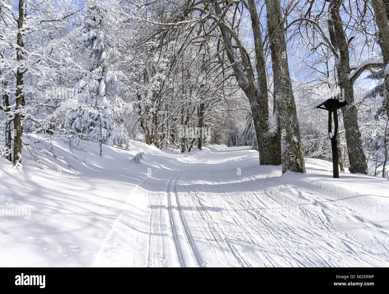 Winter Berglandschaft. Trail zum Langlaufen auf einem Berg Straße, Bäume, bedeckt mit Raureif und Schnee, blauer Himmel mit weißen Wolken. Stockfoto