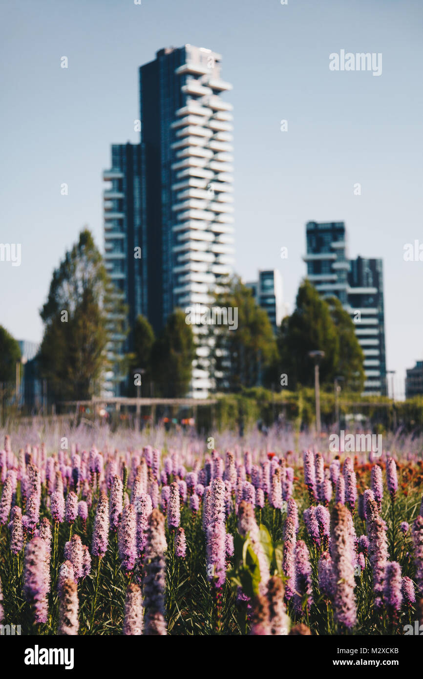 Bäume und Blumen in den neuen Park in Porta Nuova. mit einem verschwommenen Hintergrund. Mailand. In der Lombardei. Italien Stockfoto